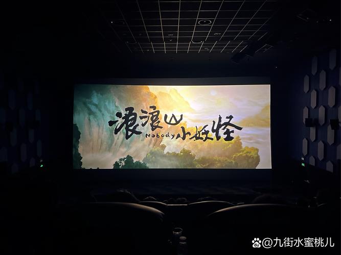 pans内部大尺度写真视频的相关介绍