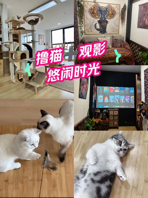 一级少妇黄片的相关介绍