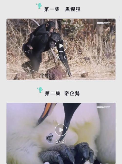 幼嫩影院的相关介绍