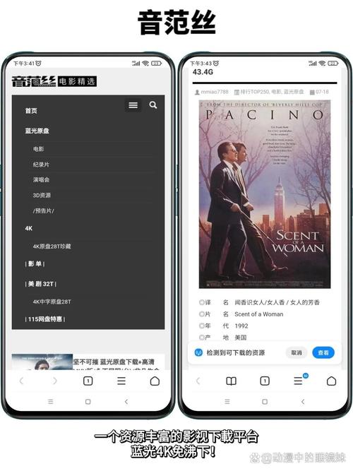 一流影院的相关介绍