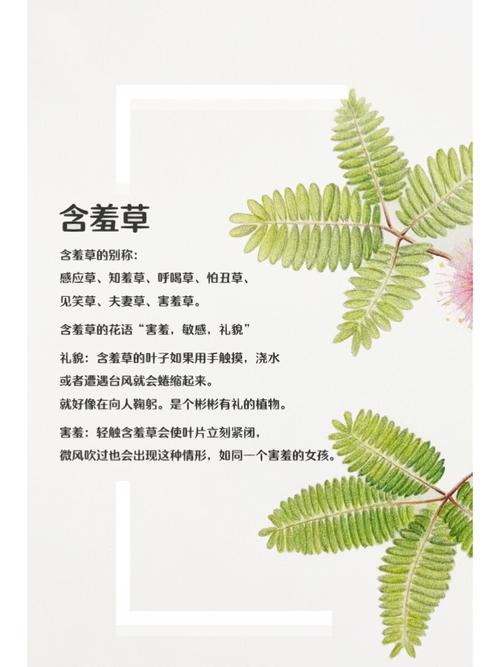 新泰数字电影院的相关介绍