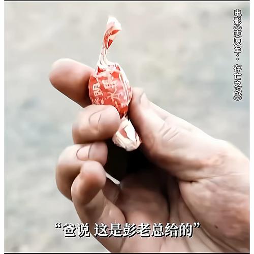 国产精品99久久久久久人红楼的相关介绍