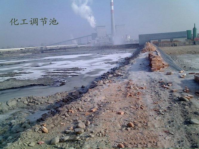 风间由美大尺度写真集的相关介绍