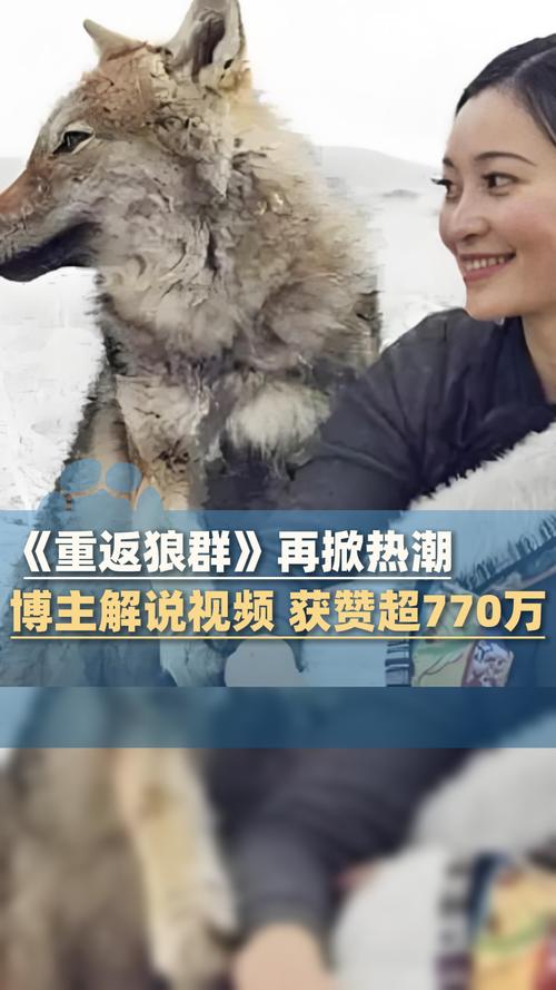 狼群免费观看视频影院 - 最新高清在线资源抢先看，全网热门影评与观影指南