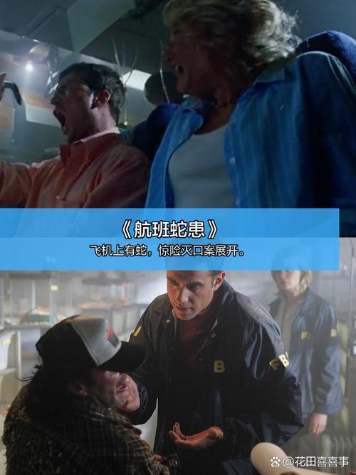 美景之屋2真心影院的相关介绍