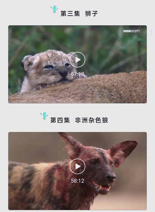 按摩av偷拍的相关介绍