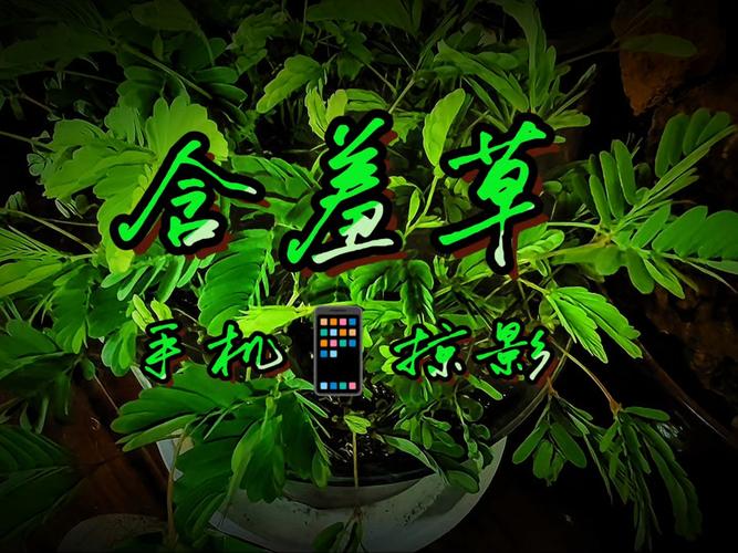色久悠悠伊人综合影院 - 高清影视在线播放平台，免费追剧、热门大片、动漫综艺一站式观看