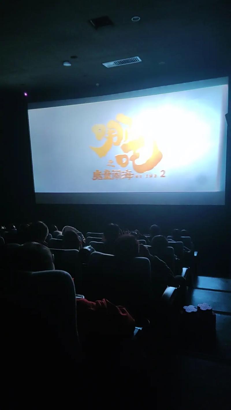 夫妻看的毛片的相关介绍