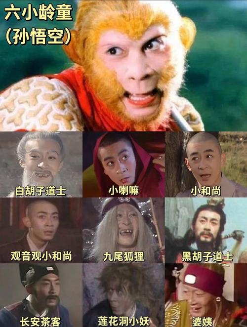 我的老师是美女的相关介绍