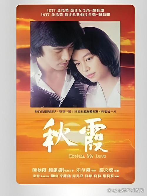 91精品久久久久久婷婷高清的相关介绍