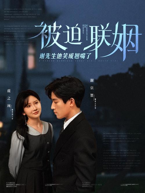 99久久精品国产国产毛片的相关介绍