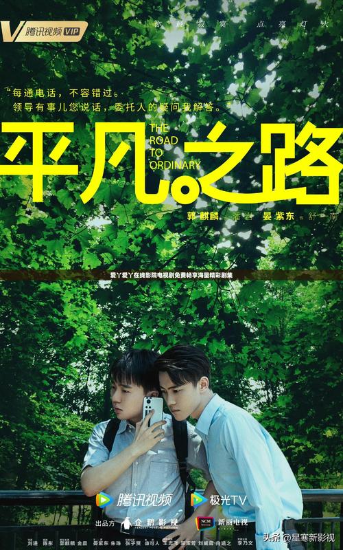 中国影院的相关介绍