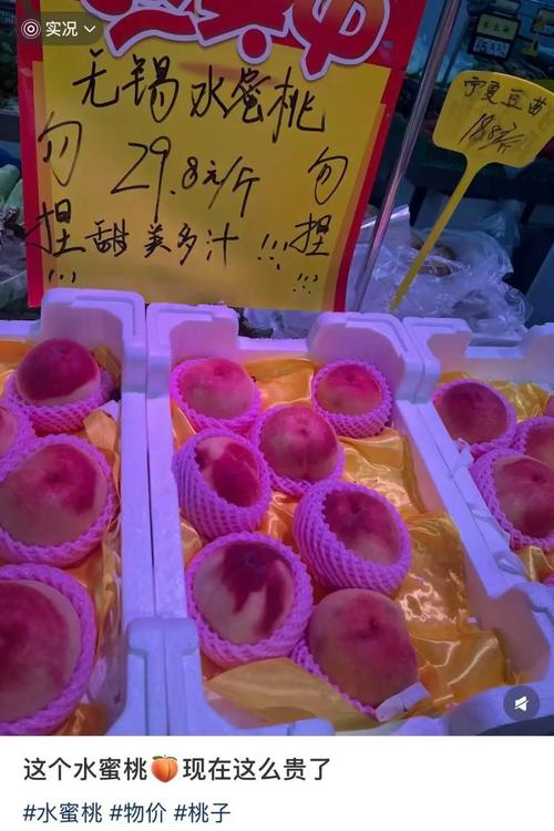 老司机精品影院影院的相关介绍