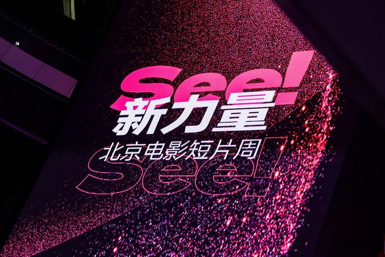 《毛片基地》的相关介绍