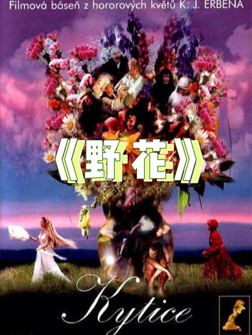 不要钱的毛片的相关介绍