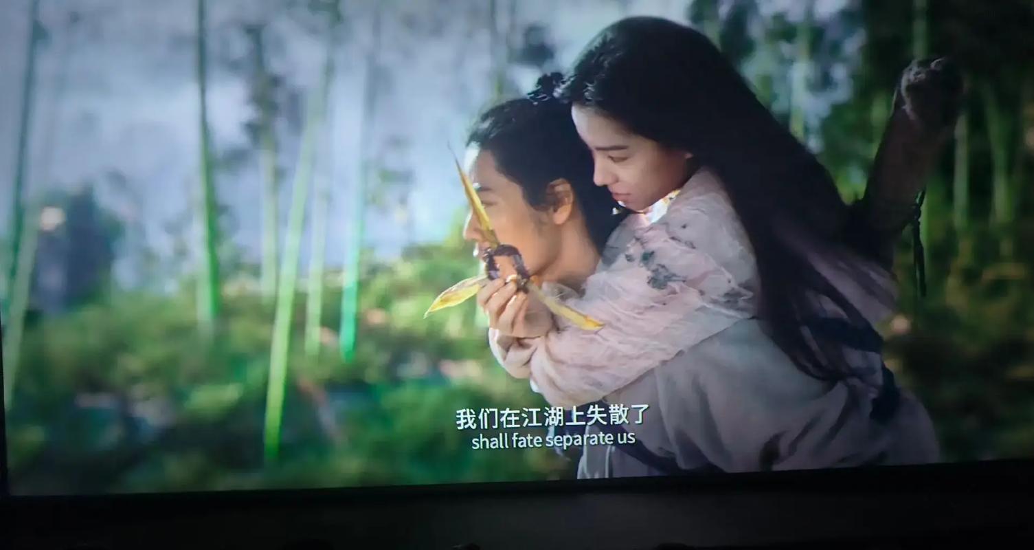 激情图片,欧美系列的相关介绍