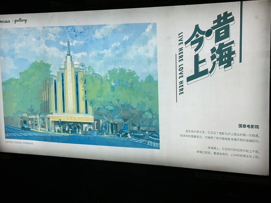 青鸟影院网的相关介绍