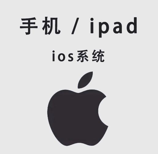 欧美巨乳波霸影院的相关介绍
