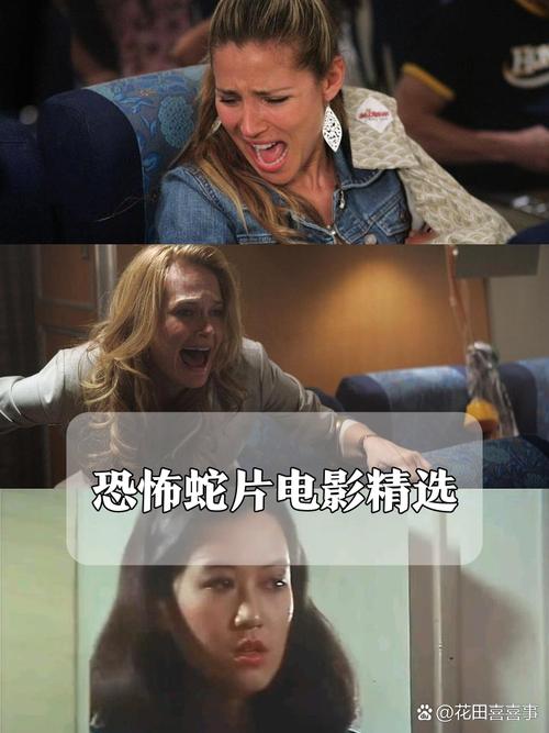 资源影院的相关介绍