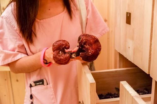 米奇影院888奇米色99在线的相关介绍
