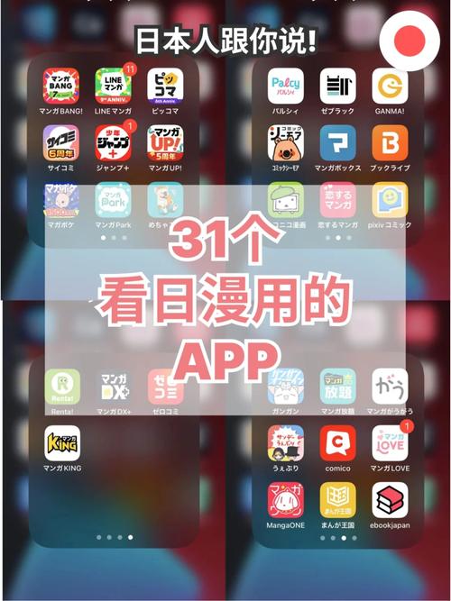 放个毛片看一下的相关介绍