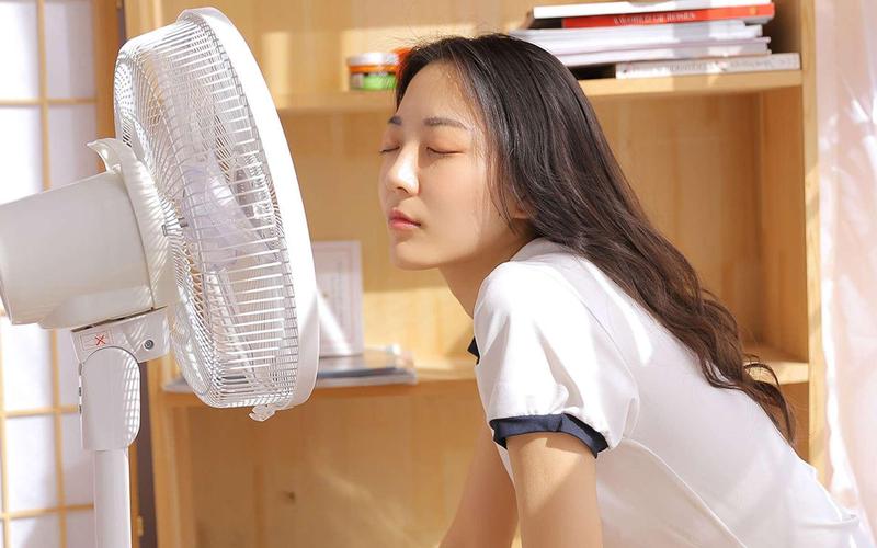 东北老妇女毛片的相关介绍