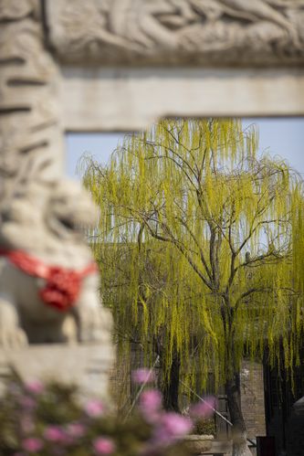 半岛影院的相关介绍