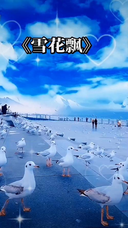 久久精品欧美动态图的相关介绍
