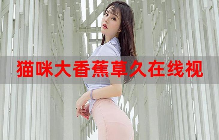 大连电影院的相关介绍