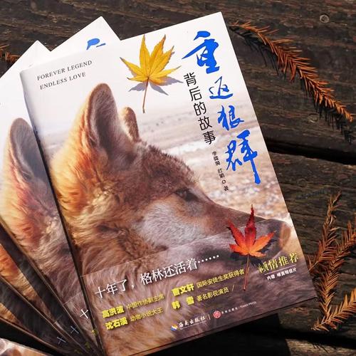 欧美人妻日韩在线的相关介绍