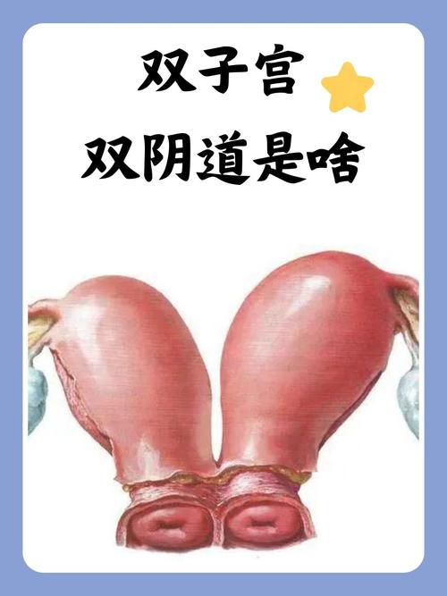 猴哥影院的相关介绍