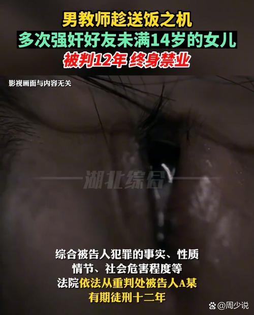 成人极品影院的相关介绍
