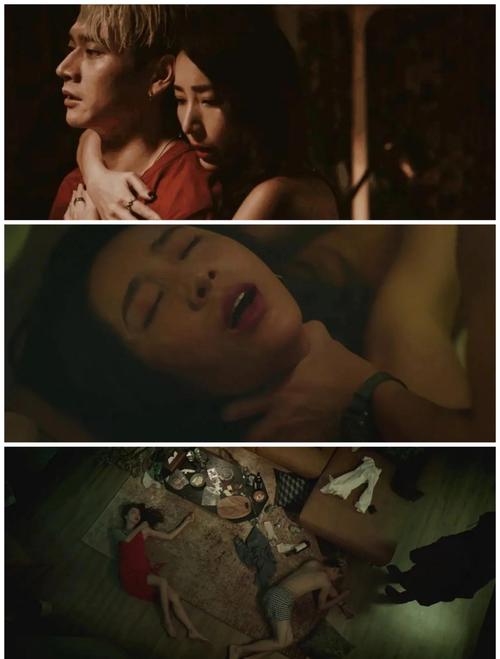 狼群影院资源网的相关介绍