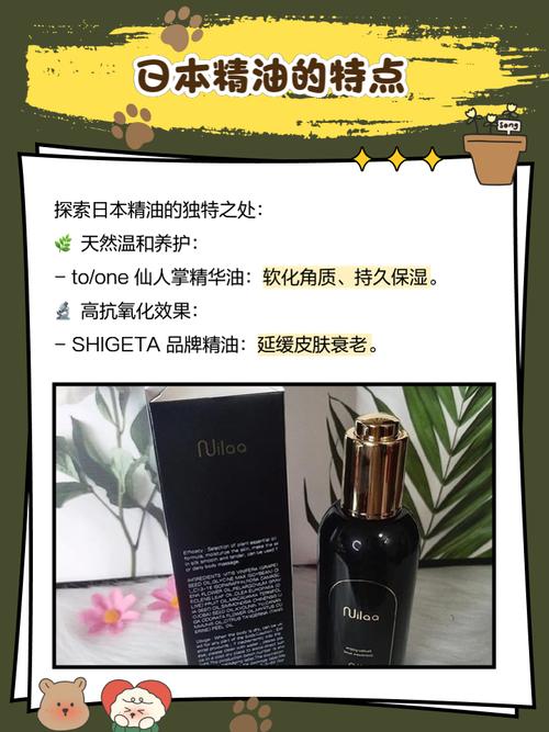 亚洲熟女少妇一区二区三区视频的相关介绍