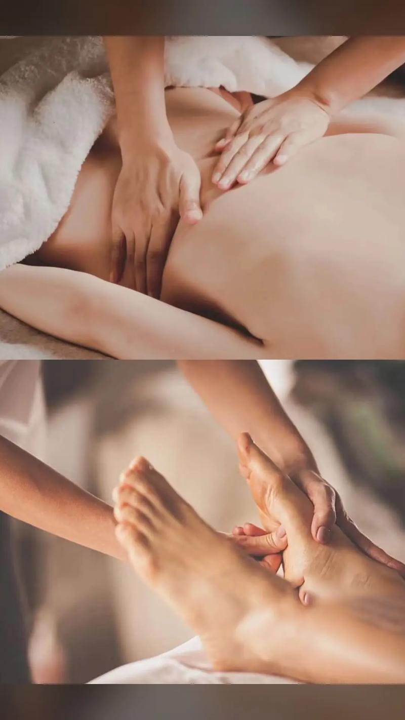 18禁动漫在线观看网站的相关介绍