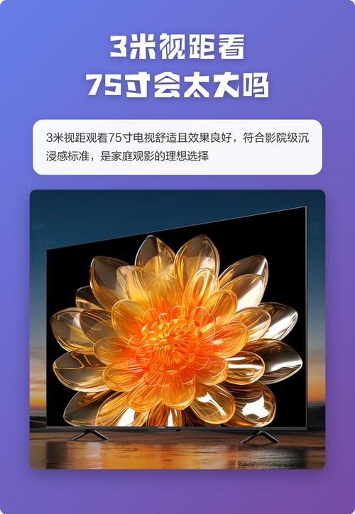 xo影院的相关介绍
