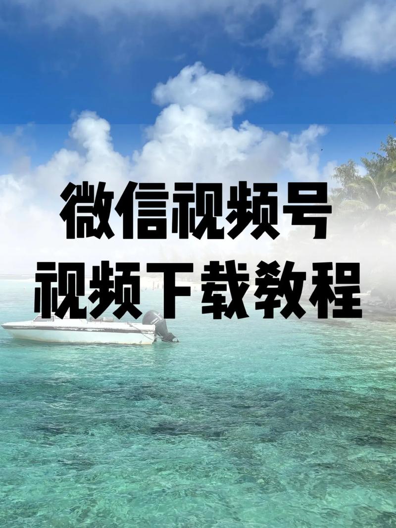 特殊的精油按摩 日本2015的相关介绍