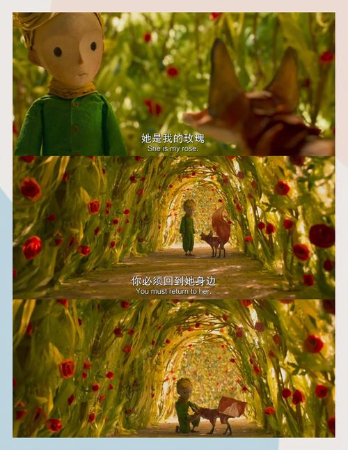 免费观看女生的私密部位的相关介绍
