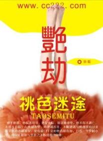 天堂va蜜桃一区二区三区漫画版的相关介绍