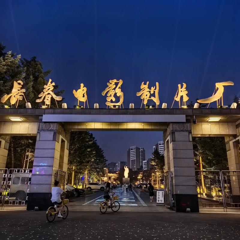 可以下载任何视频的app的相关介绍