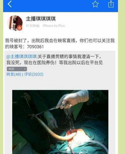 夫妻啪啪毛片的相关介绍