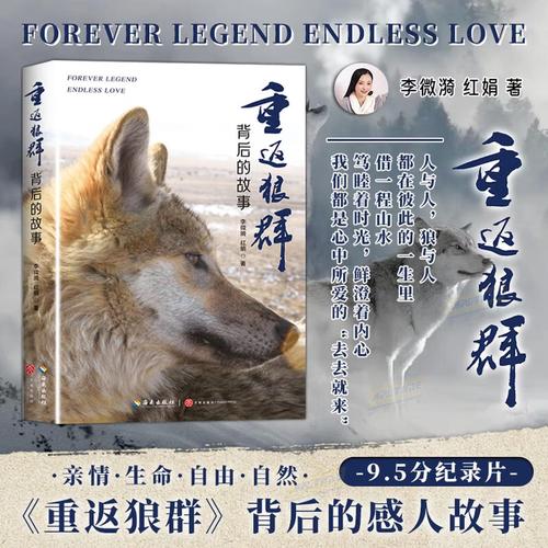 天星影院的相关介绍
