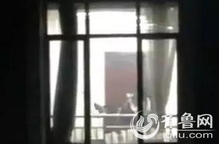 操小姑娘逼视频的相关介绍