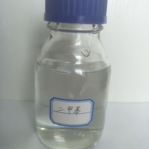 乐乐电影院的相关介绍