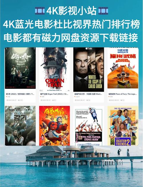 婷婷午夜电影院手机福利在线的相关介绍