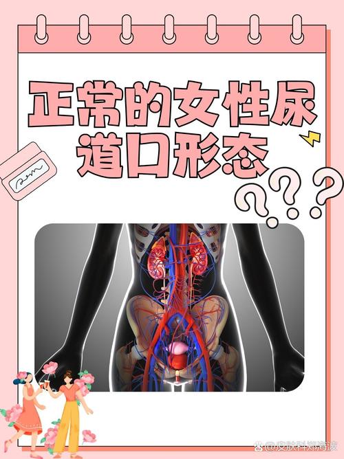 欧美少妇裸体图的相关介绍