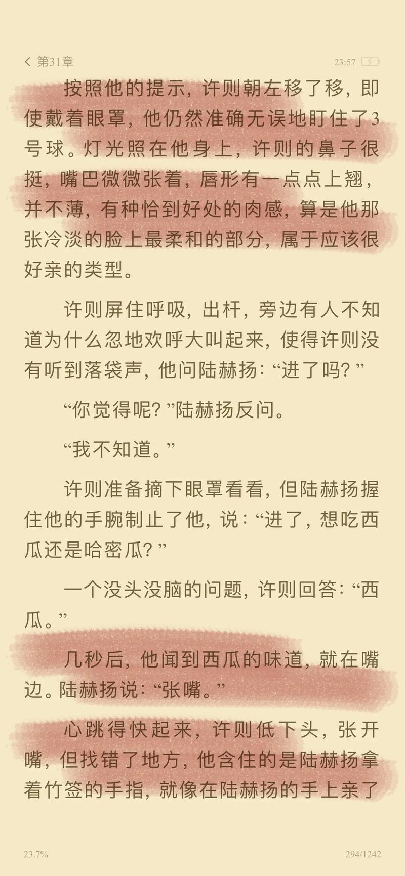 4080新视觉影院手机的相关介绍